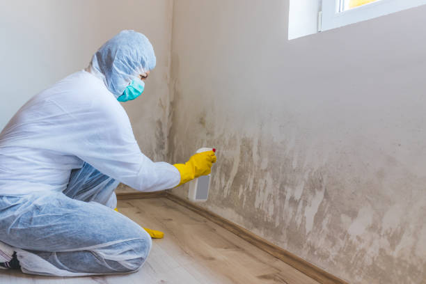 Mold Remediation specialist working in Camas